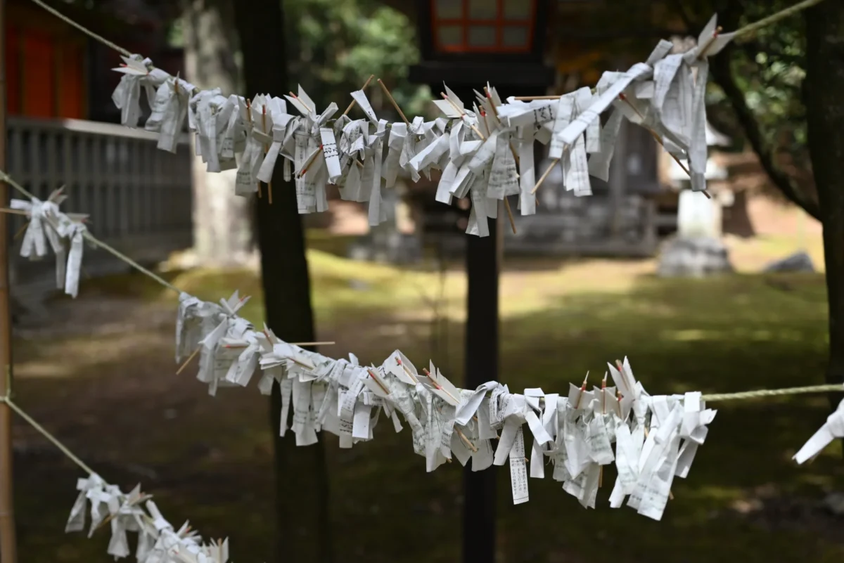 上沼八幡神社 おみくじ