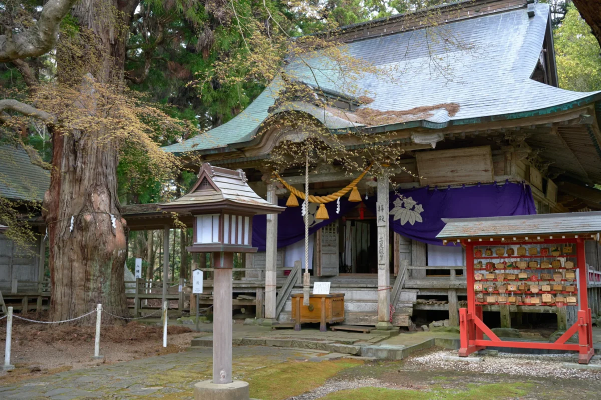 上沼八幡神社 拝殿