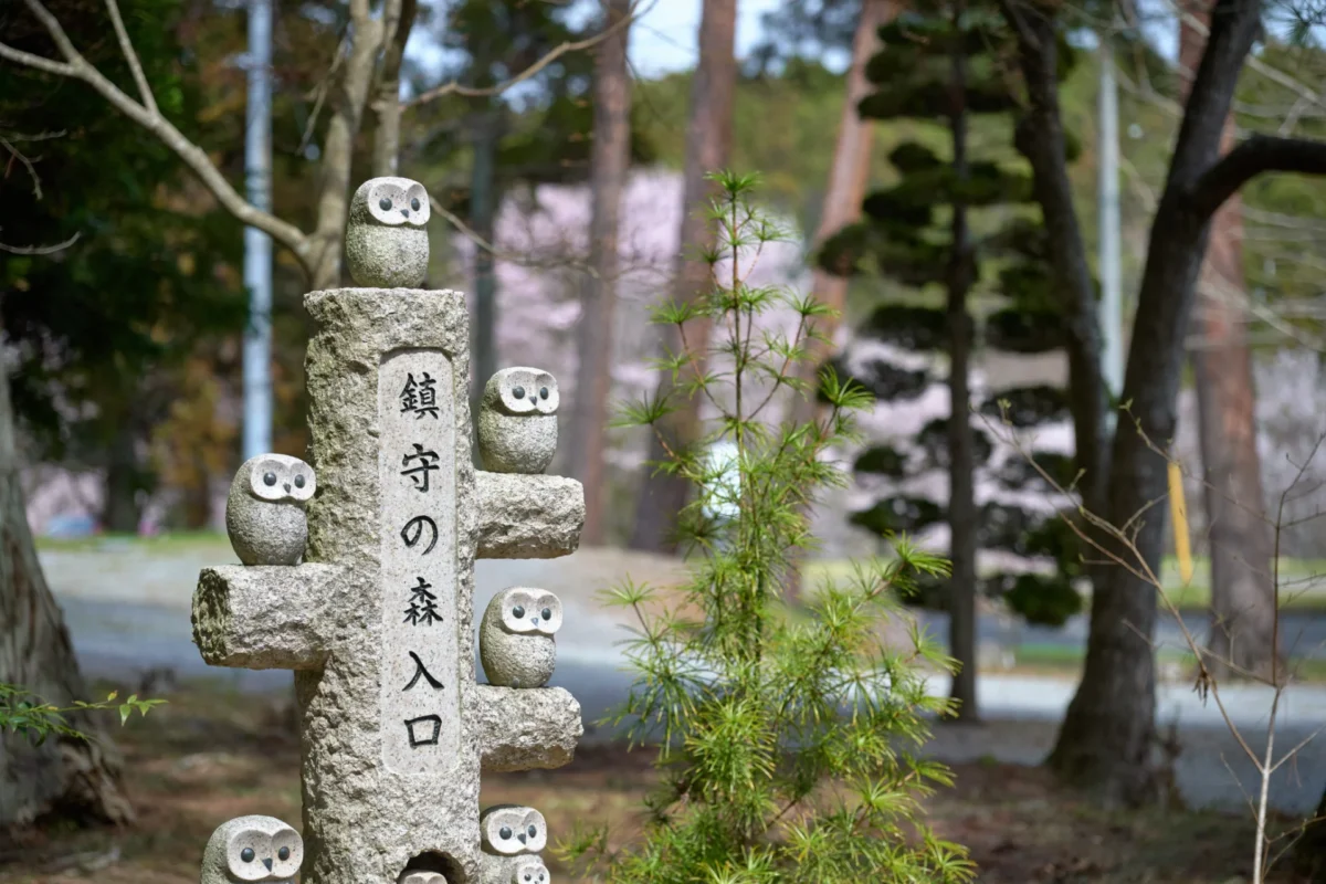 上沼八幡神社 鎮守の森